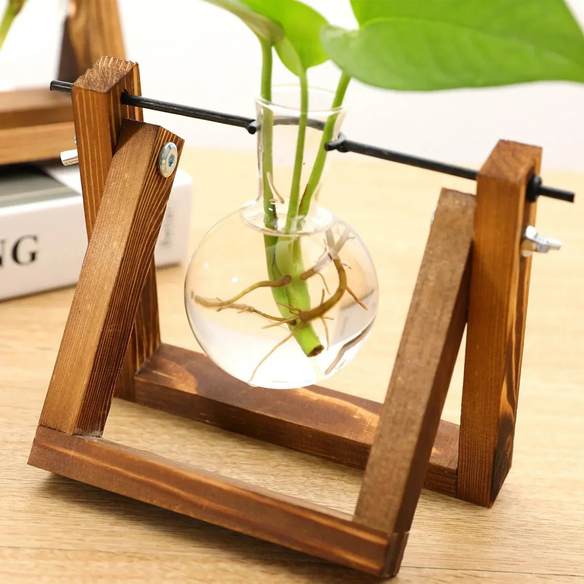 Plantenstekkerhouder van hout en glas, vintage stijl 28 cm - Vessina