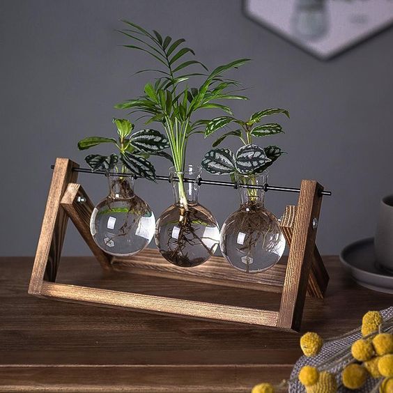 Plantenstekkerhouder van hout en glas, vintage stijl 28 cm - Vessina