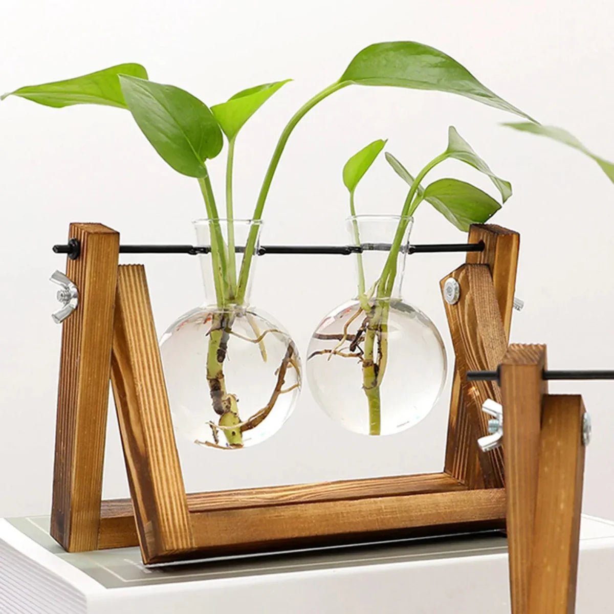 Plantenstekkerhouder van hout en glas, vintage stijl 28 cm - Vessina