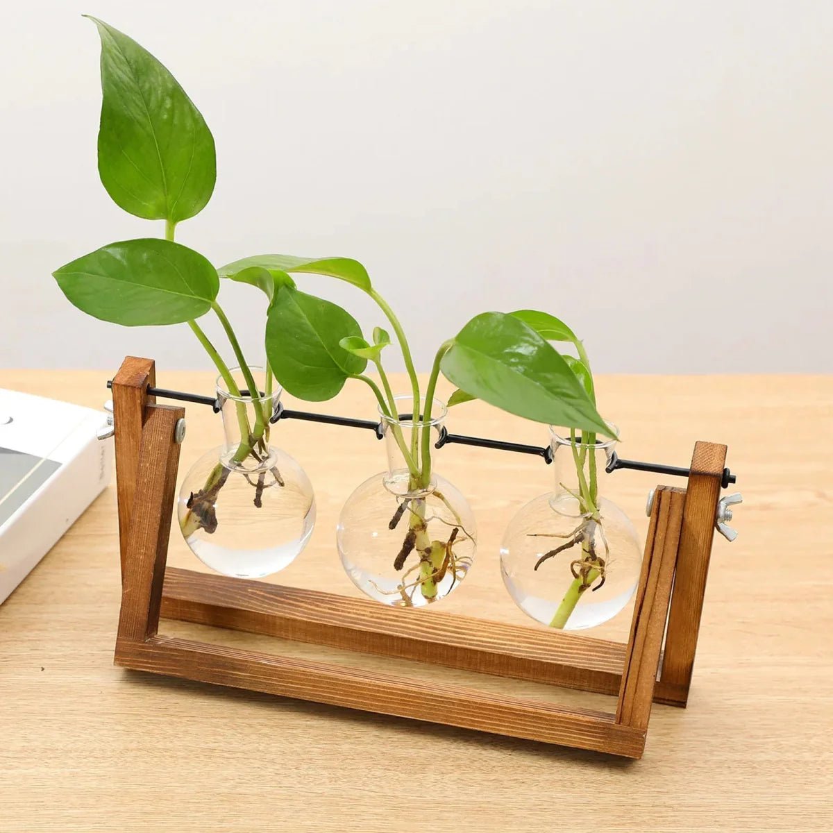 Plantenstekkerhouder van hout en glas, vintage stijl 28 cm - Vessina