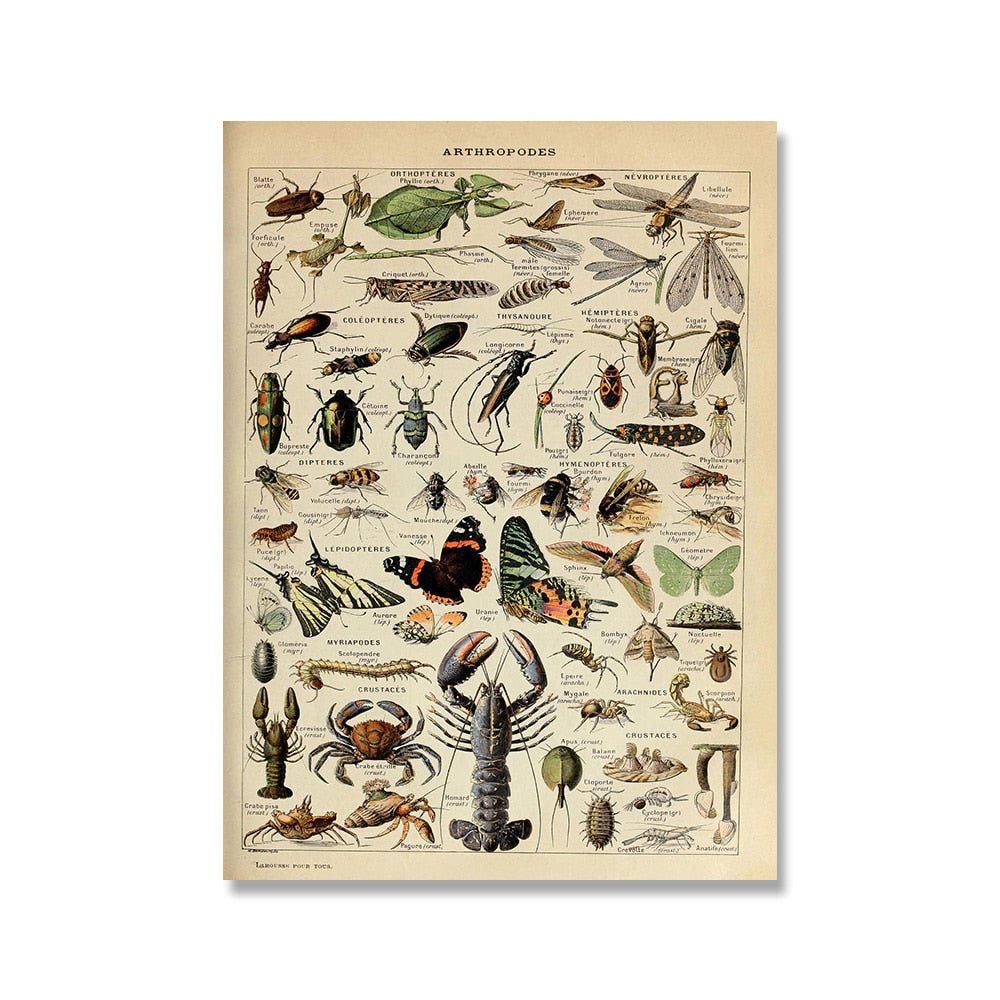 Vessina – Vintage Botanische Canvas Collectie - Vessina