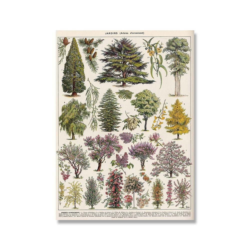 Vessina – Vintage Botanische Canvas Collectie - Vessina