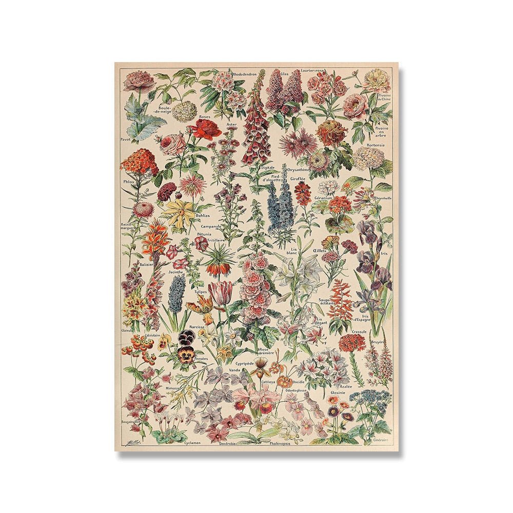 Vessina – Vintage Botanische Canvas Collectie - Vessina
