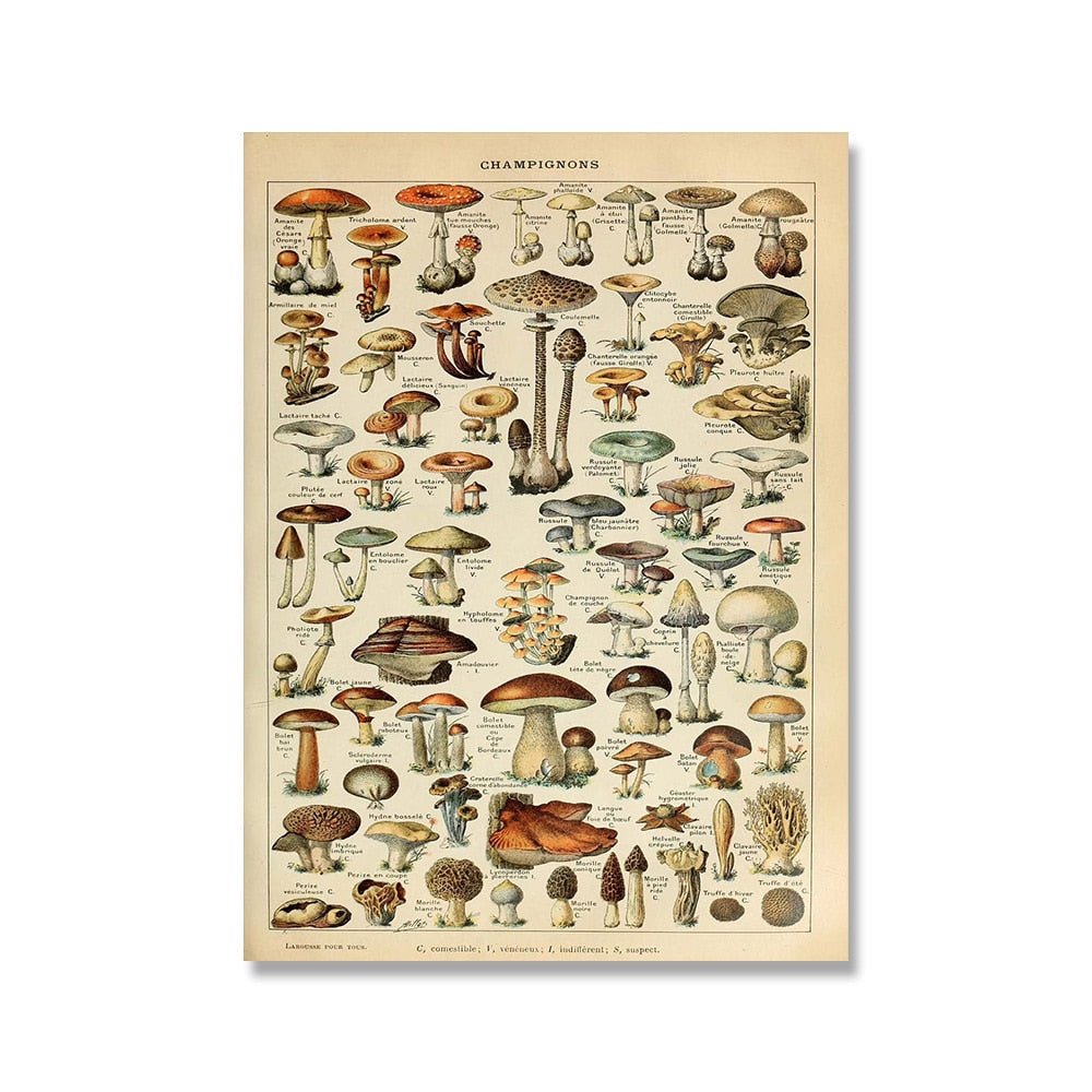 Vessina – Vintage Botanische Canvas Collectie - Vessina