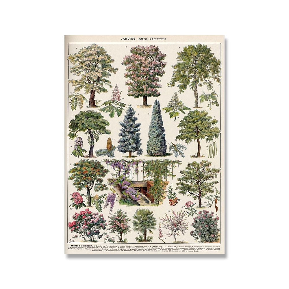 Vessina – Vintage Botanische Canvas Collectie - Vessina