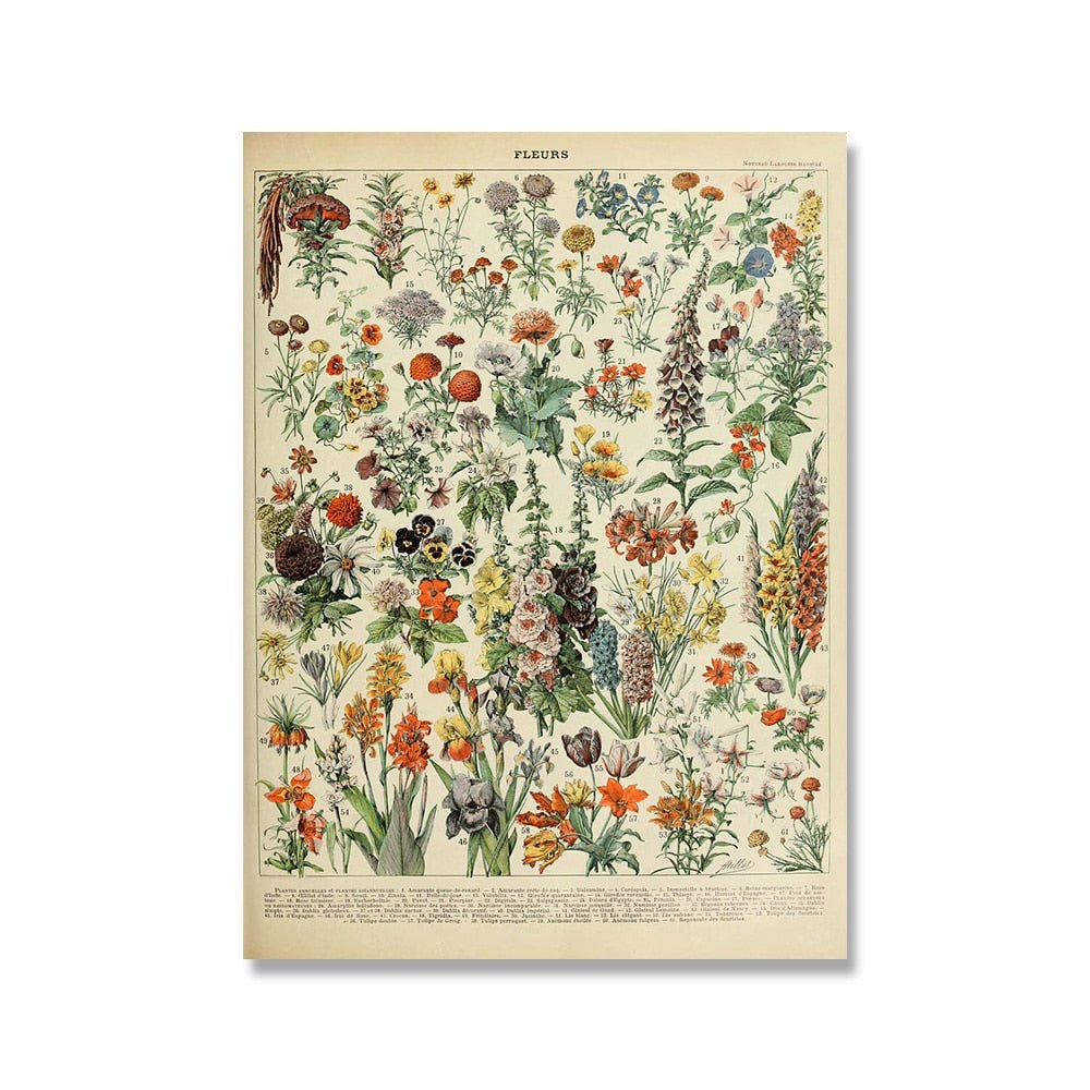 Vessina – Vintage Botanische Canvas Collectie - Vessina