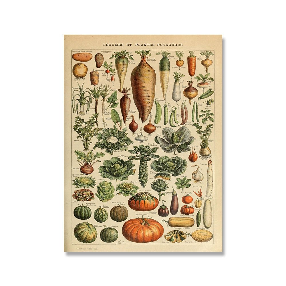 Vessina – Vintage Botanische Canvas Collectie - Vessina