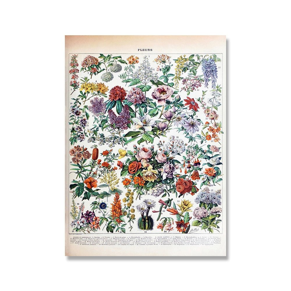 Vessina – Vintage Botanische Canvas Collectie - Vessina