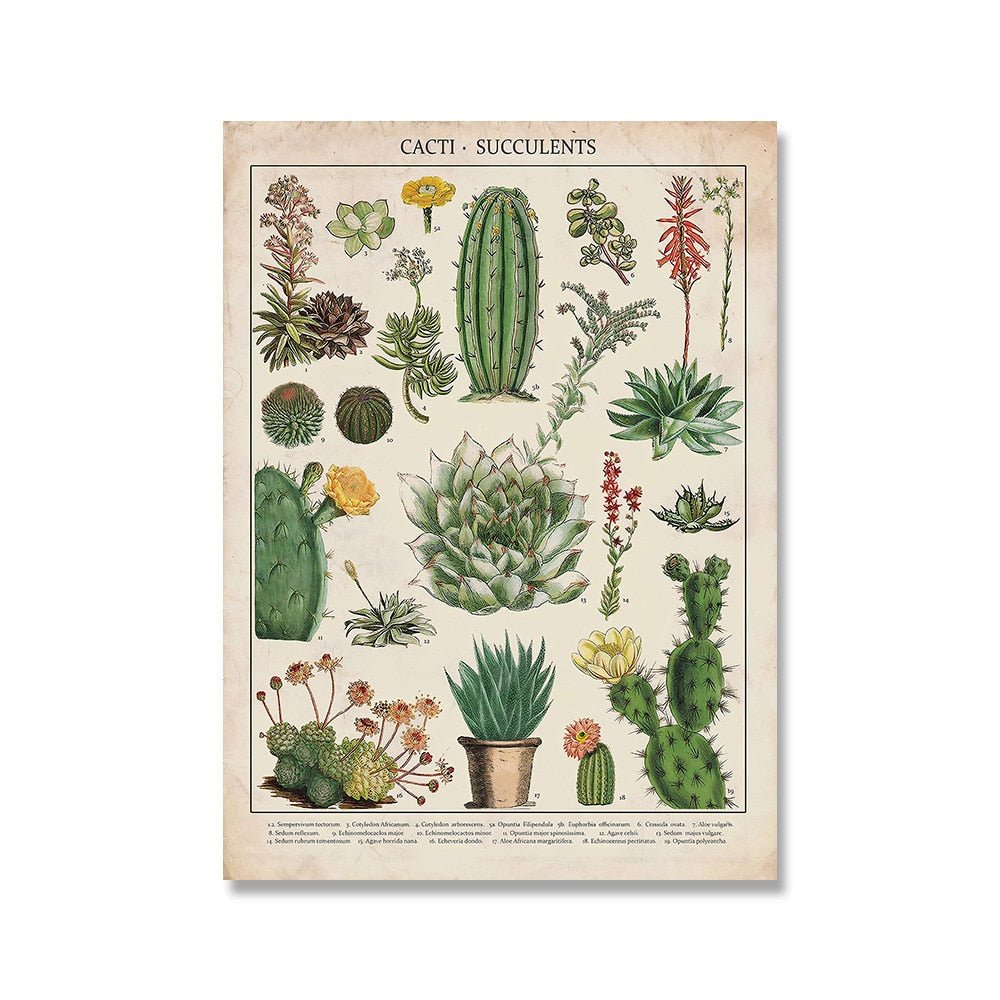Vessina – Vintage Botanische Canvas Collectie - Vessina