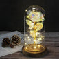 Glazen stolp met rode roos en warm ledlicht - Vessina