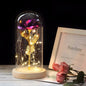 Glazen stolp met rode roos en warm ledlicht - Vessina