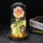 Glazen stolp met rode roos en warm ledlicht - Vessina