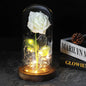 Glazen stolp met rode roos en warm ledlicht - Vessina