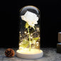 Glazen stolp met rode roos en warm ledlicht - Vessina