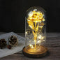 Glazen stolp met rode roos en warm ledlicht - Vessina