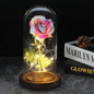 Glazen stolp met rode roos en warm ledlicht - Vessina