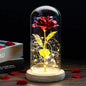 Glazen stolp met rode roos en warm ledlicht - Vessina