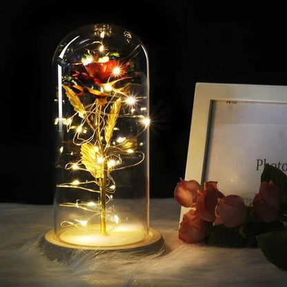 Glazen stolp met rode roos en warm ledlicht - Vessina