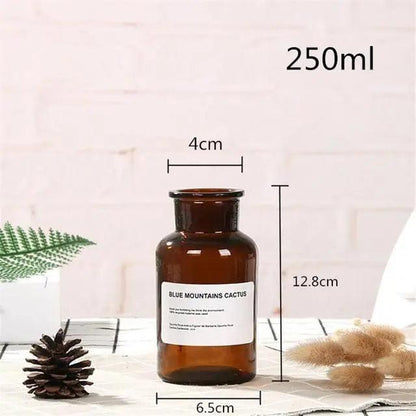 Vessina – Glazen Vaas Fles - Vessina