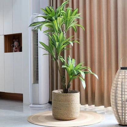 Vessina – Milieuvriendelijke Wicker Plantenmand - Vessina