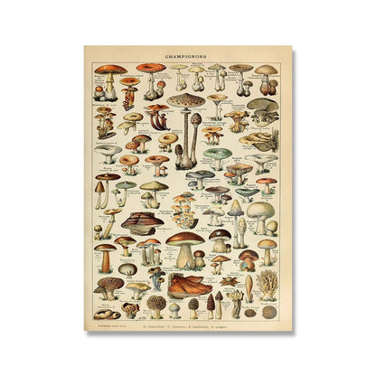 Vessina – Vintage Botanische Canvas Collectie - Vessina