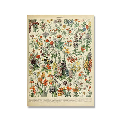Vessina – Vintage Botanische Canvas Collectie - Vessina