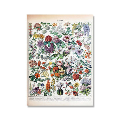 Vessina – Vintage Botanische Canvas Collectie - Vessina