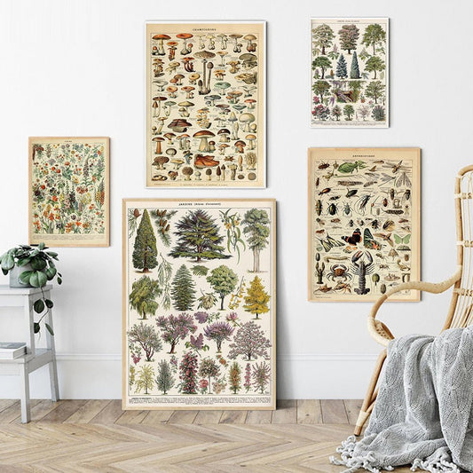 Vessina – Vintage Botanische Canvas Collectie - Vessina